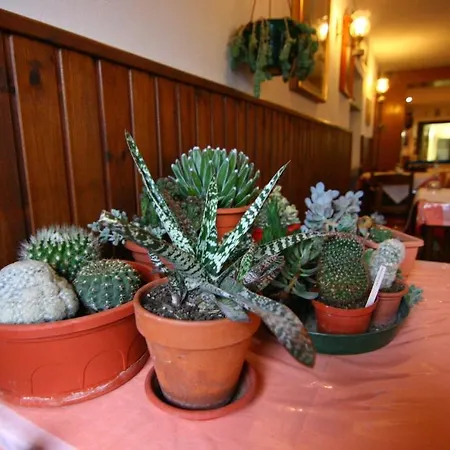 Adelia Hotel Domegge di Cadore